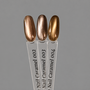 003 Гель лак Caramel Bee Nails 8 мл 1253976 фото