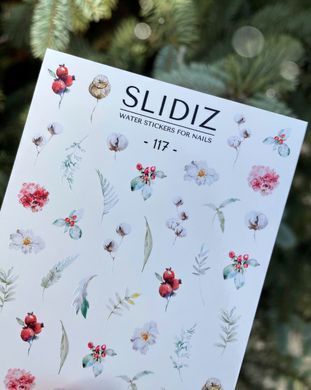 Слайдер SLIDIZ 117 1230033 фото