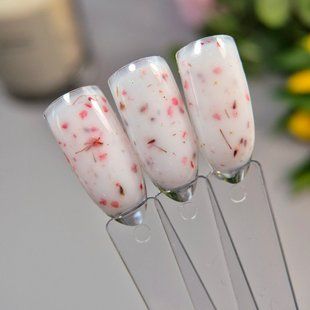 Гель с сухоцветами для наращивания Flower Gel Red 15 мл 1231562 фото