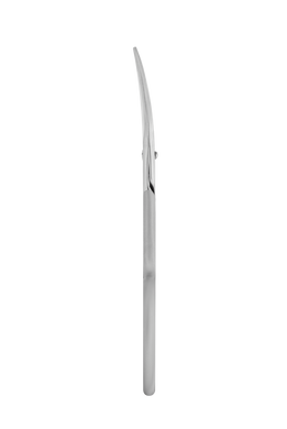 Ножиці для нігтів Staleks Pro Smart 30 Type 1 SS-30/1 1220020 фото